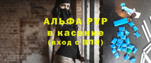 прущие грибы Бутурлиновка