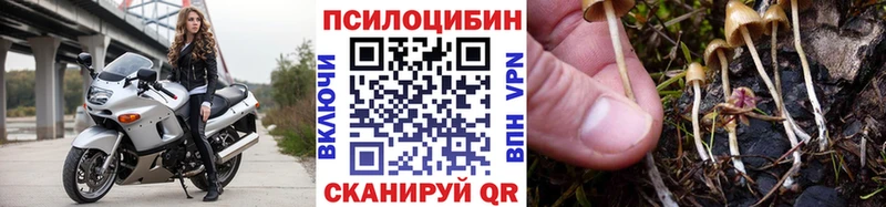 Галлюциногенные грибы Psilocybe  где продают   Обоянь 