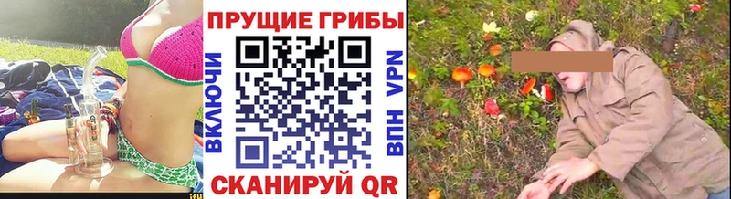 Галлюциногенные грибы мицелий Обоянь